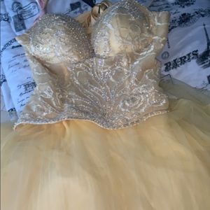 Quinceañera/ sweet 16 ball gown.